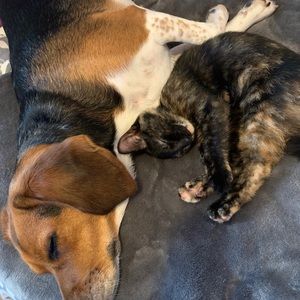 Meet your Posher, Sheri